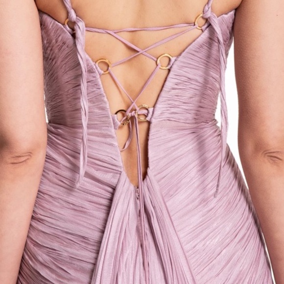 Maria Lucia Hohan “Corinna” Strapless Pleated Gown – Blush Pink – Size US 8 - Picture 5 of 10